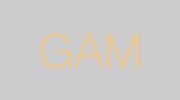 GAM HLS